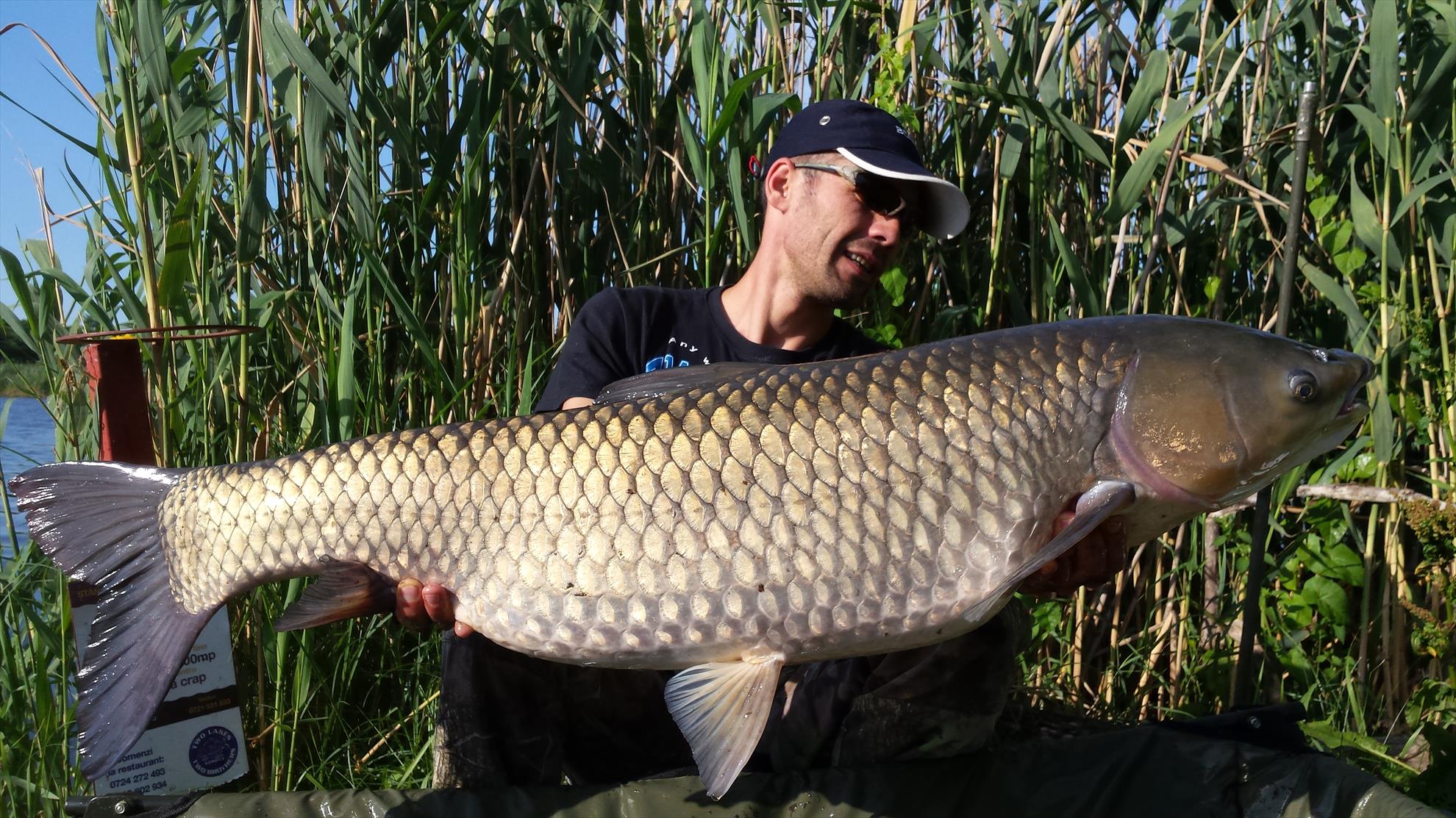 Tancabesti 5 - 6 iunie 2015 - 20150606081233.jpg